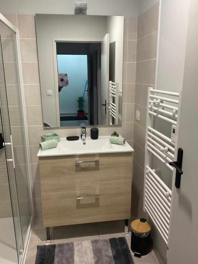 Apartamento Les Demoiselles De La Tour ! Carcasona Exterior foto